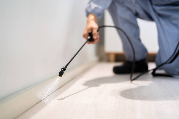 Licensed Termite Control service in Grand Isle County County, VT - Nex Pest Control