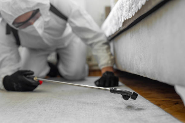 Professional Termite Control technician working in Grand Isle County County, VT